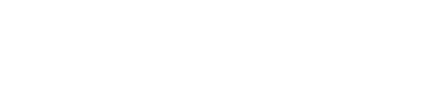 Campagnolo Logo